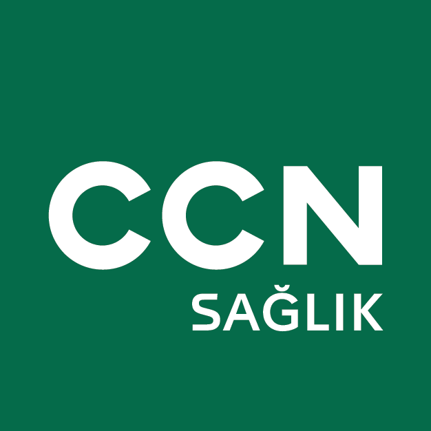 CCN 3